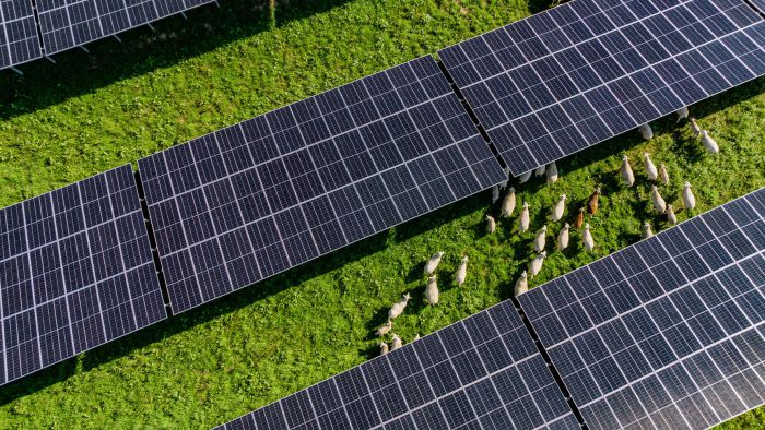 PV-Freiflächenanlage Rickertsreute Ravensburg bee pv GmbH PV-Freiflächenanlage Rickertsreute Ravensburg bee pv GmbH